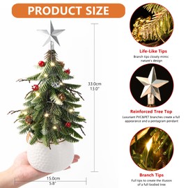 Mini Christmas Tree Tabletop Christmas Tree, Small Christmas Tree, Potted Christmas Tree with Star Top Pinecone and Red Berry Ornaments, for Indoor Home Desk Xmas Decor(Silver Star)