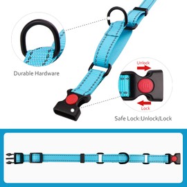 Martingale Dog Collar and Leash Set Martingale Collars for Dogs Reflective Martingale Collar for Small Medium Large Dogs(Sky Blue&S)