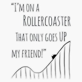 The Fault in Our Stars Rollercoaster Bumper Sticker Vinyl Decal 5 inches