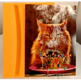 Avanti Birthday Avanti Another year Another Blaze of Glory Happy Birthday Card envelope