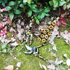 Decorative Garden Tool Set, 3-Piece Floral Pattern Pruning Tools 3pc