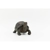 DecoTrend GmbH Decorative Figurine Small Turtle 24.5 x 17.5 x