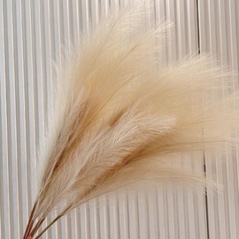 Interior Artificial Reed for Photography Props and Decoration 5-piece Light Beige