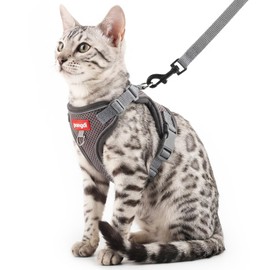 pangdi Cat Harness and Leash Set, Lightweight Air-Mesh Cat Vest, Grey, L