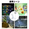 PAVIKE Aquarium Clip Light, Lighting, Small Growth Light, Clip-on Aquarium