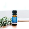 ECO. Modern Essentials Rosemary Pure Essential Oil, 10ml