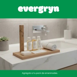 Kit Cepillo Dientes Bambú 10 Pzs Amenidades Hotel O Airbnb                                                                                            