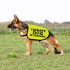 Funny Therapy Dog Jacket Vest Therapy Dog in Training Slogan