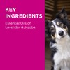 BLACKMORES PAW 2-In-1 Conditioning Shampoo 500ml