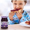 Smucker's Concord Grape Jam, 18 Ounces