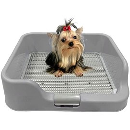 [DogCharge] Indoor Dog Potty Tray – with Protection Wall Every Side for No Leak, Spill, Accident - Keep Paws Dry and Floors Clean (Tray Only, Grey)