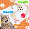 OwletWishes Cat Bouncy Ball Toys Sports Style, 3 Pack with