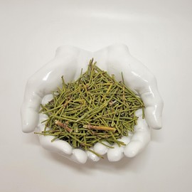 HealinGifts Healingifts Mormon Tea Brigham Canutillo Popotillo 2 oz 1.0 Ounce