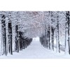OERJU 10x6.5ft Winter Forest Backdrop Snow Natural Scenery Landscape Trees