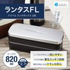 Asvel "Rantas FL" 2-Tier Lunch Box with Bag, Silver SS-T820