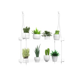 Hanging Clear Plant Shelves for Windows, 2-Tier Acrylic Window Wall Plant Stand Shelf for Kitchen Window Indoor Gardens, Flower, Succulents, Herb, Seedling Organization, and Plants Pots Display