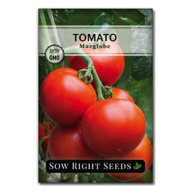 Sow Right Seeds - Marglobe Tomato Seeds for Planting - Non-GMO Heirloom Packet with Instructions to Plant and Grow a Home Vegetable Garden - Classic Medium Red Variety - Determinate Hydroponic (1)