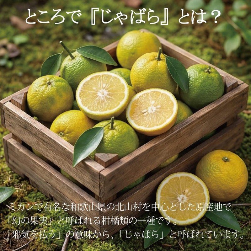 Concentrated Chabara Fruit Skin Powder Juice Plus Lactic Acid Bacteria