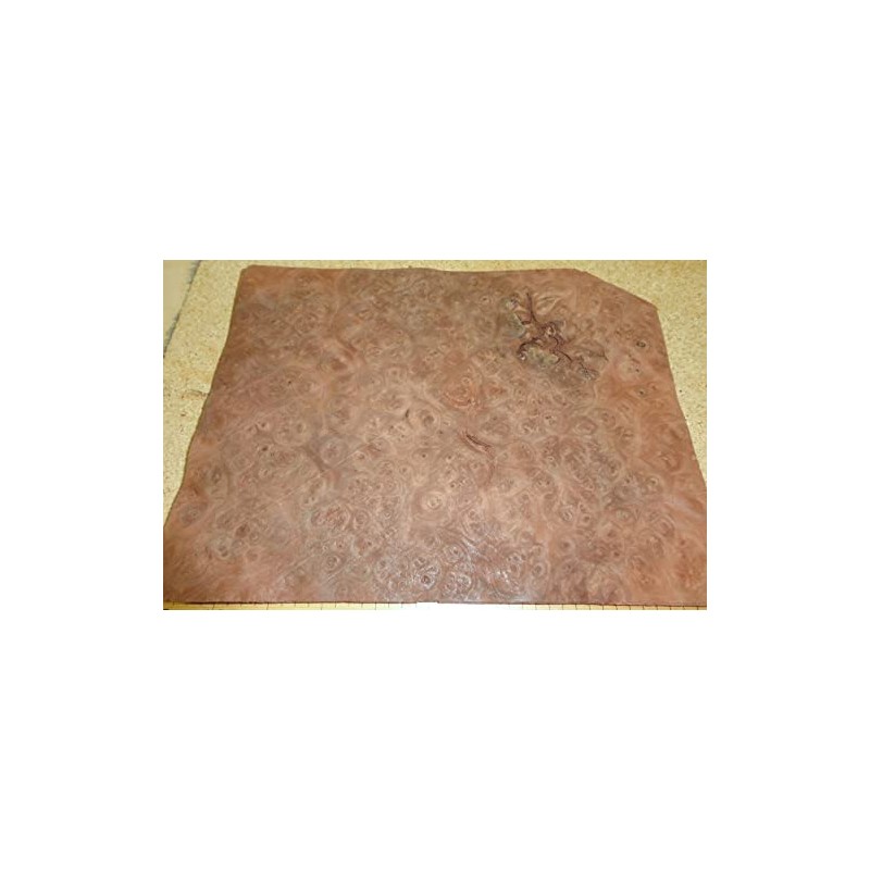 Carpathian Elm Burl Wood Veneer 8" x 10" raw with