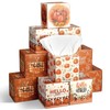 Bencailor 12 Pack Fall Pumpkin Facial Tissues Bulk,Orange,Hello Pumpkin