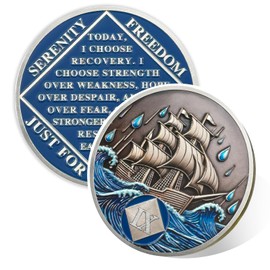 Braving The Storm 9 Year Sober Coin, Nautical NA Coin, Addiction Recovery Six Year Sober Chip, Celebrating Recovery Anniversary Token, Narcotics Anonymous Sobriety Gifts for Men Women