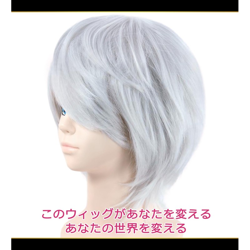 CaseEden 6041 Premium Cool Short Hair Wig, Silver, Silver, Silver