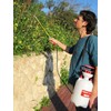 TABOR TOOLS 1.3 Gallon sparayer for Lawn and Garden. Pump