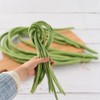 HUIANER Artificial Green Long Beans 6pcs Fake Long Bean Faux