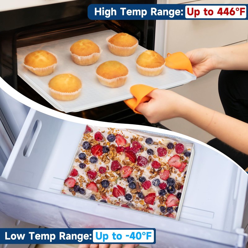 6 Pcs Silicone Dehydrator Trays 11 x 11 Inch, Square
