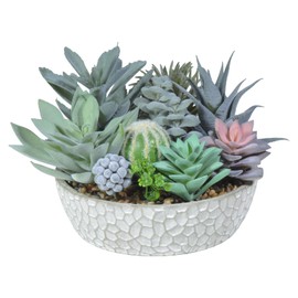 Hisow Premium Assorted Artificial Succulent Collection - Large Real Touch Artificial Cactus, Aloe Vera & Succulent Plants Artificial with Pots for Home Office Indoor (Artificial Glass - Pot)