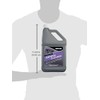 Premium RV Awning Cleaner for RV or Home Awnings 64