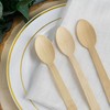 Ecowise Strong Disposable Wooden Spoons Pack of 100 Ecofriendly Biodegradable