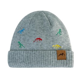 RANOME Knitted Beanie for Toddler Boys Girls Warm Infant Baby Winter Hat Cool Dinosaur Kids Hats Toque Outdoor (as1, Age, 6_Months, 24_Months, A-Grey)