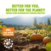 Top Fox Snacks Pumpkin Seeds to Eat (Chile Lime, 3.5