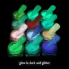 Fcozpjk Glow in The Dark Glitter, 12 Boxes Luminous Pigment