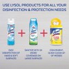 Lysol Professional Disinfectant Spray, Spring Waterfall, 19 oz (3 Pack)