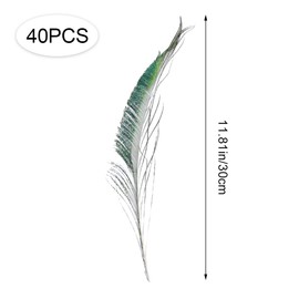 40 Pcs Peacock Sword Feathers Natural Peacock Feathers Peacock Green Tail Feathers for DIY Craft, Costume, Wedding Holiday Party