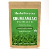 Herbsforever Bhumiamalaki Powder 230g Phyllanthus Niruri, Non-GMO, Plant-Based Formula for