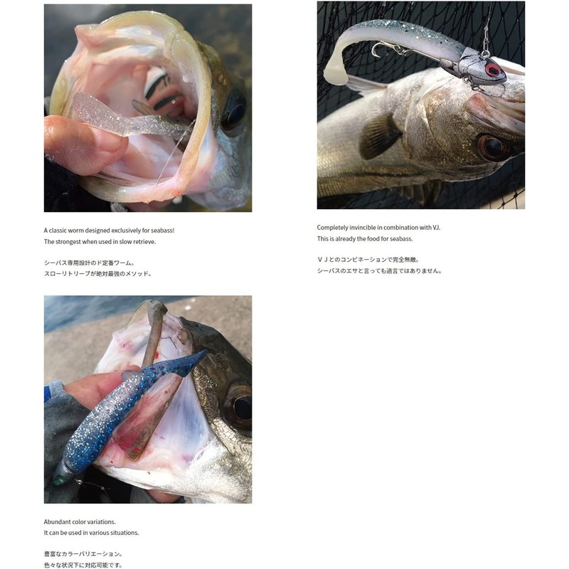 Coreman Alkaline Shad 3.5 inches (90 mm) #062 Silaou