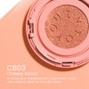 INTO YOU Cream Blush Air Cushion for Cheeks Eyes, Moisturizing,