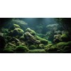 MIRRORANG 76x46cm Tropical Fish Tank Poster Backdrop River Bed &
