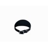 Avon Pet Products Whippet Greyhound Leather Padded Dog Collar, 18-Inch,