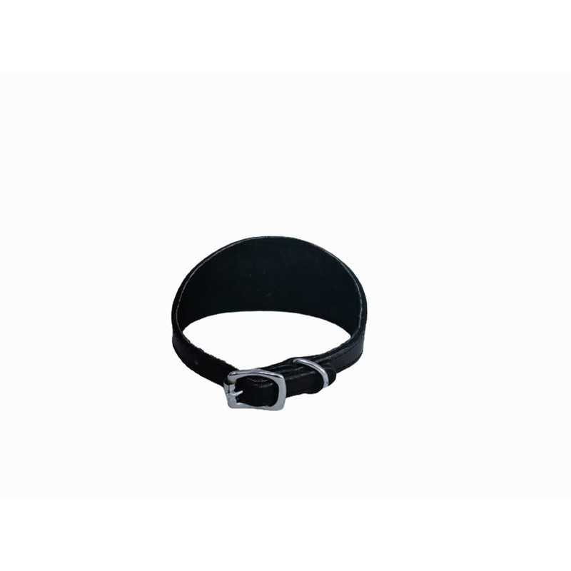 Avon Pet Products Whippet Greyhound Leather Padded Dog Collar, 18-Inch,