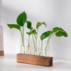 Plant Propagation Station, Plant Propagation Tubes Minimalist Look for Desktop