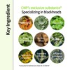 CNP Laboratory [CNP Laboratory]Anti-pore Black Head Clear Kit (10 set)