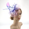 DRESHOW Fascinator Hats for Women Pillbox Hat with Veil Headband