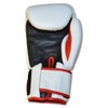 Ring to Cage Thai-Style Sparring Boxing Gloves - Limited Edition