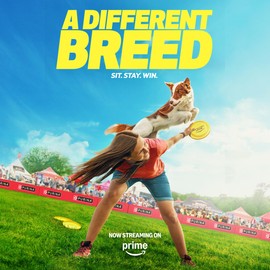 Purina Pro Plan Sensitive Skin and Stomach Dog Food Dry, Adult Salmon & Rice Formula, Digestive Health - 16 lb. Bag