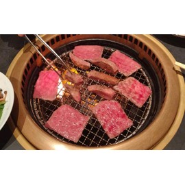 LOYALHEARTDY Stainless Steel Barbecue Grate, Round BBQ Grill Net Mesh, Charcoal Grate(No Foot), Dia: 38cm/15inch