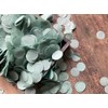 InsideMyNest Stone Green Sage Gray Round Circle Biodegradable Confetti Mix